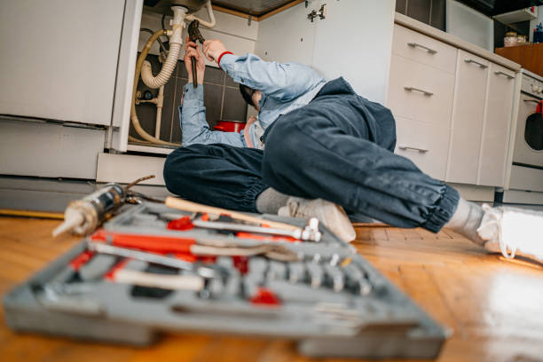 Best Commercial Plumbing Services  in Windsor, MO