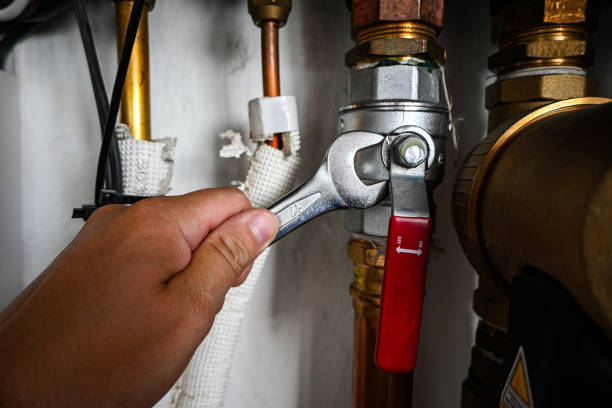 Best Local Plumber Services  in Windsor, MO